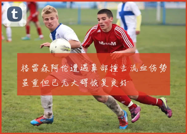 格雷森阿伦遭遇鼻部撞击流血伤势虽重但已无大碍恢复良好