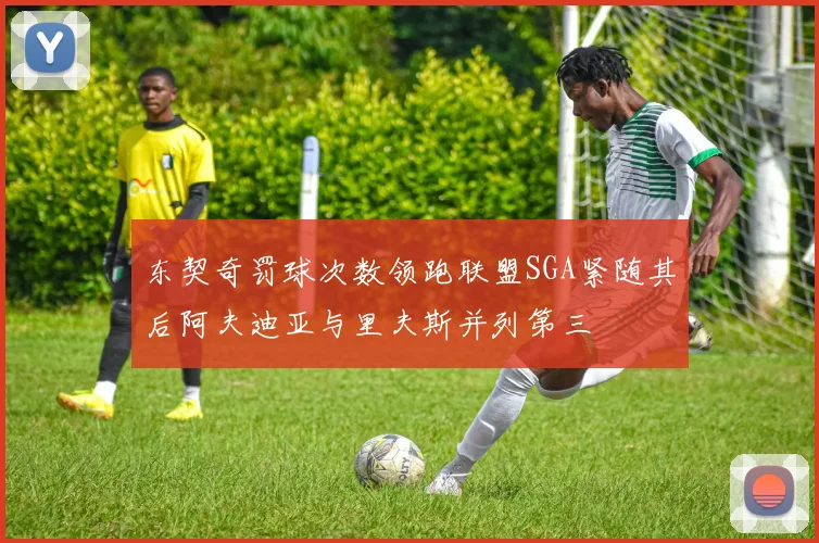 东契奇罚球次数领跑联盟SGA紧随其后阿夫迪亚与里夫斯并列第三