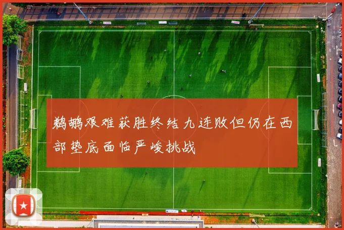 鹈鹕艰难获胜终结九连败但仍在西部垫底面临严峻挑战