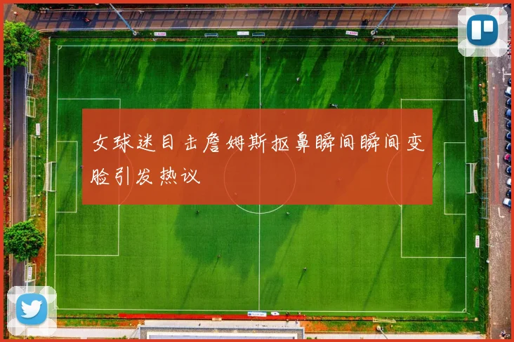 女球迷目击詹姆斯抠鼻瞬间瞬间变脸引发热议